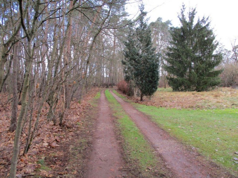 Blick vom Waldweg Nrnberg Grundstck Groes Grundstck zum fairen Preis!